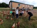 Schulkinder und Hühner auf der Wiese mit mobilem Stall