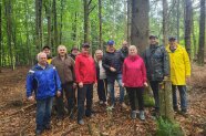 Personengruppe im Wald