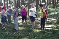 Personengruppe im Wald