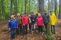 Personengruppe im Wald