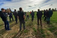 Gruppe von Personen auf einem Feld. Personen stehen mit dem Rücken zur Kamera.