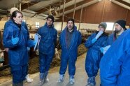Personengruppe in Kuhstall