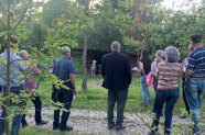 Mehrere Personen in Gartenanlage