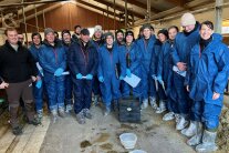 Personengruppe in Kuhstall