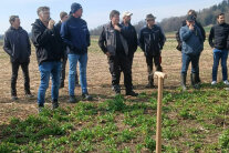 Männergruppe auf Feld