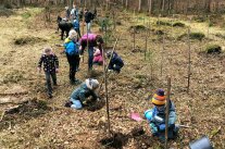 Kinder pflanzen Bäume im Wald